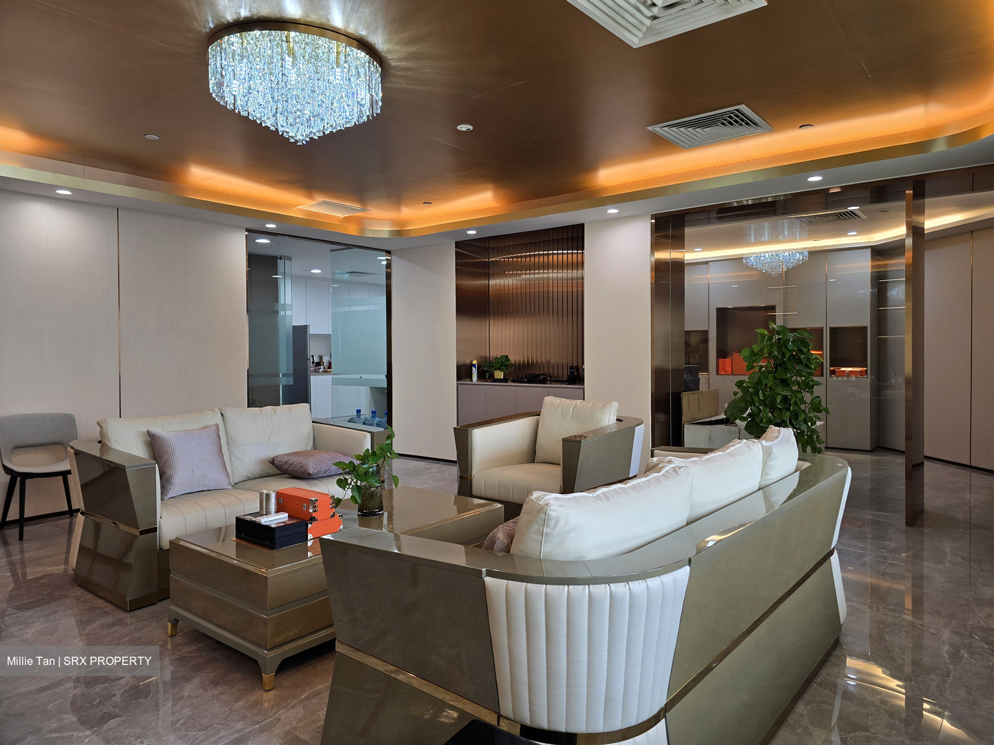 111 Somerset (D9), Office #531551561